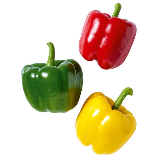 Papryka trzy kolory opak. 500 g. /szt.
